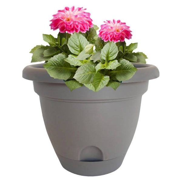 Bloem LP0860 Lucca Self-Watering Plastic Planter, Peppercorn Dark Brown, 8  Sale
