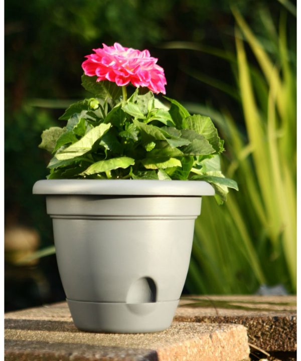 Bloem LP0860 Lucca Self-Watering Plastic Planter, Peppercorn Dark Brown, 8  Sale - Image 2
